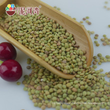 New Crop Chinese Dried Green Lentils